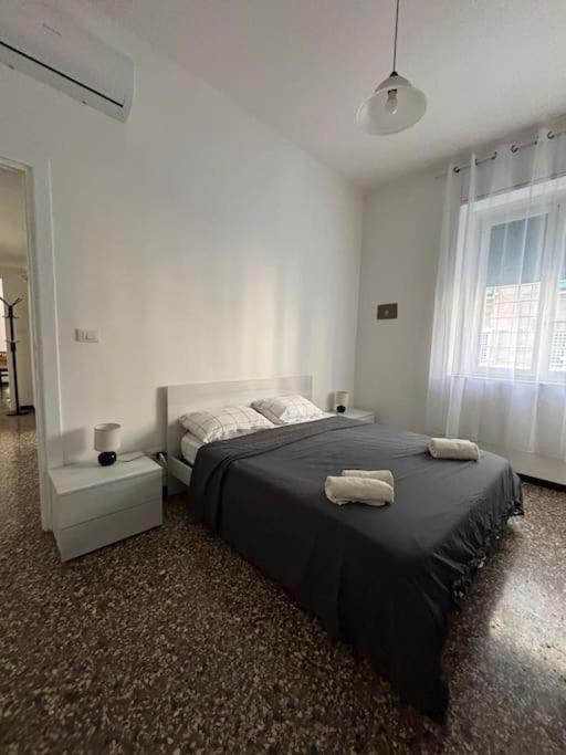 Minimal House * Roma